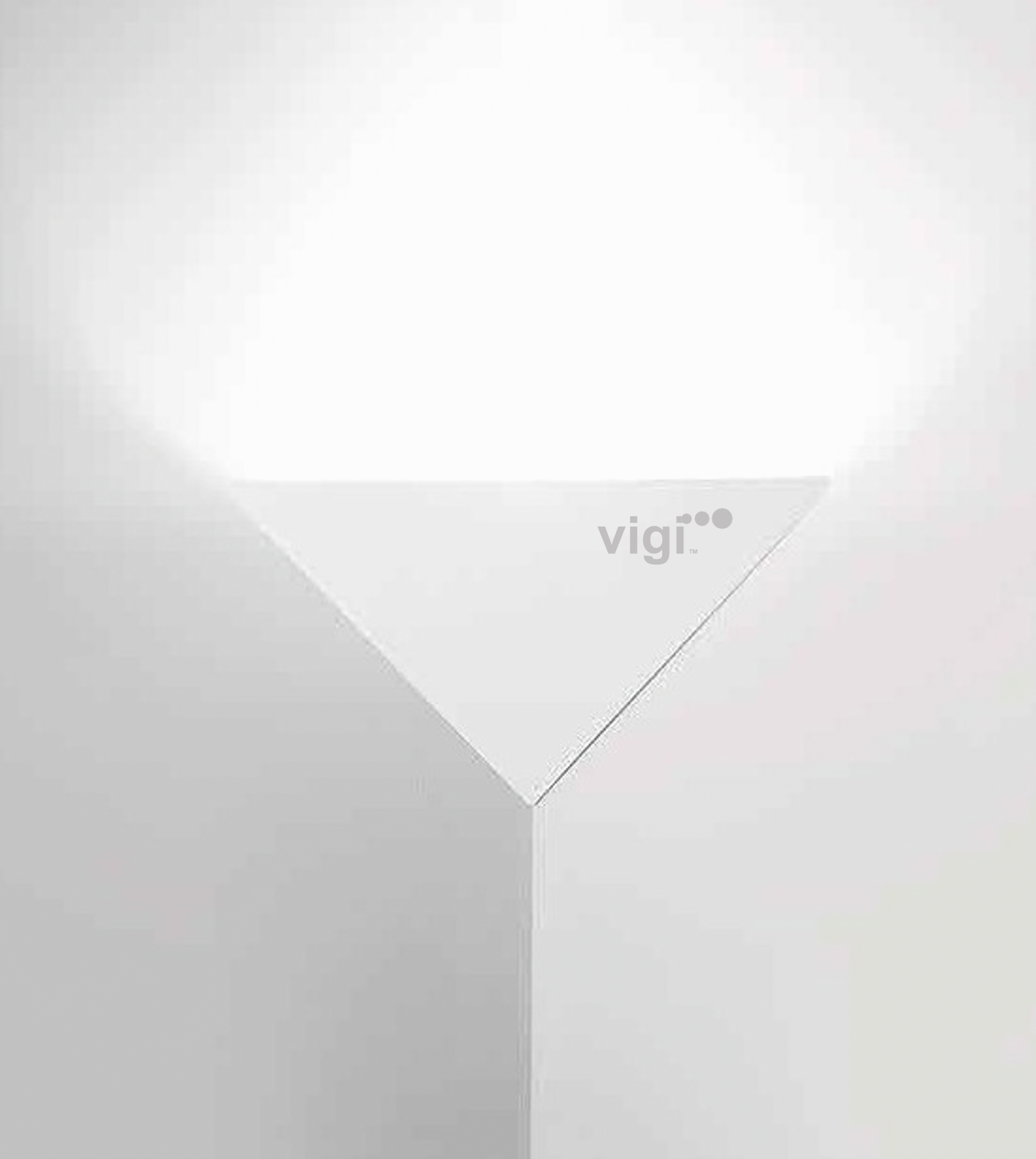 vigiprodukten8-21-2025